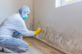 Best Mold Damage Restoration  in USA